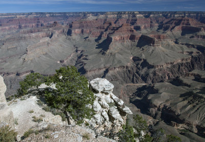 A Morning View Of The Grand Canyon From The South Rim
