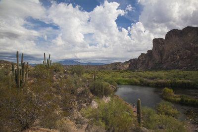 A View Of The Salt River