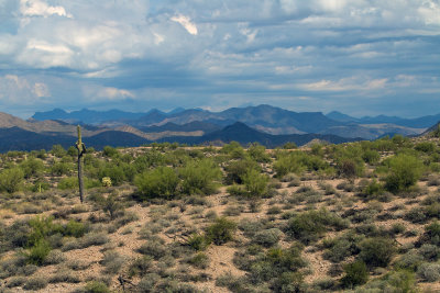 A Section Of Tonto National Forest Off Route 87 Near Scottsdale/Mesa