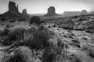 The Mittens In Mid-day Light- Monument Valley
