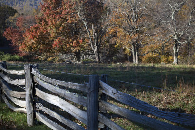 Blue Ridge Parkway Colors- 2016