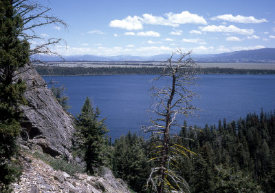 Overlook View of Jenny Lake