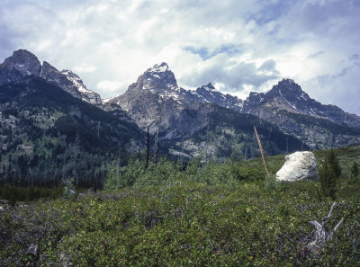 The Grand Tetons, Yellowstone And South Dakota:  July 2000- Scanned From Photo Prints