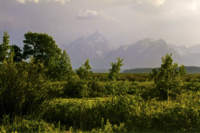 Windy With A Passing Storm Over The Tetons