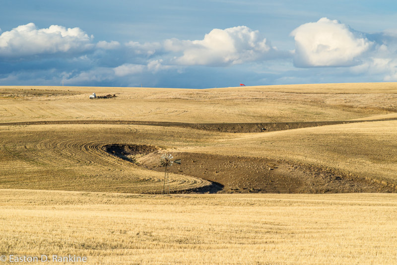 _DSC7588.jpg