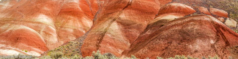 _DSC2697.jpg