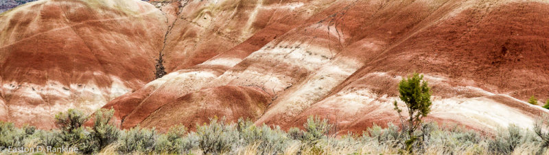 _DSC7502.jpg