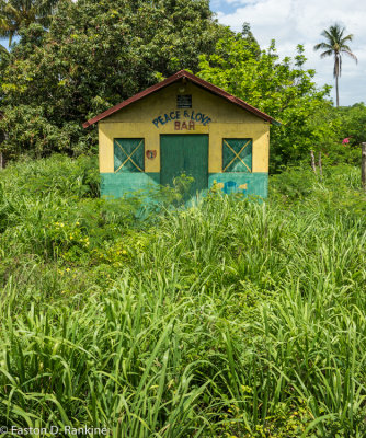 Peace and Love in the Weeds