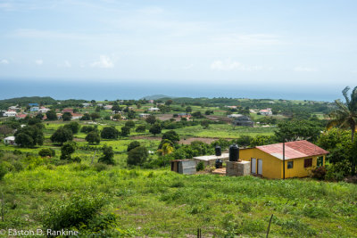 Flagaman View
