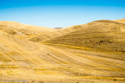 _DSC2451.jpg