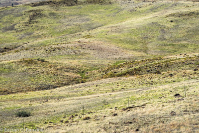 _DSC2638.jpg