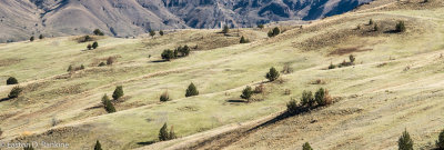 _DSC2642.jpg