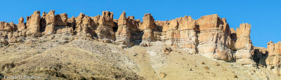 _DSC2647.jpg