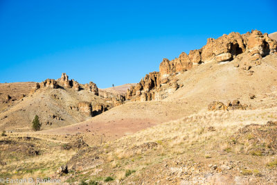 _DSC2653.jpg