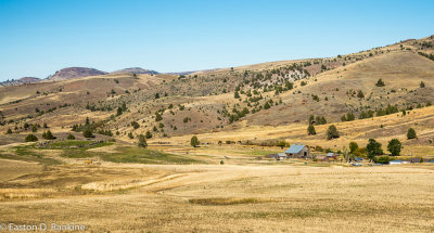 _DSC2655.jpg