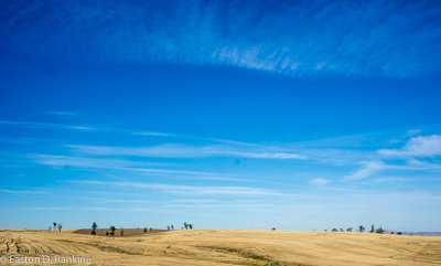 _DSC7327.jpg