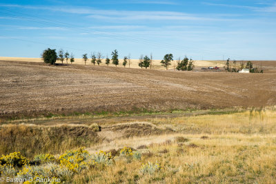 _DSC7328.jpg