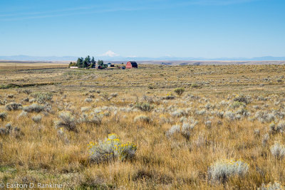 _DSC7330.jpg