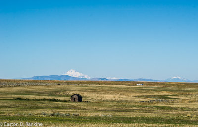 _DSC7332.jpg