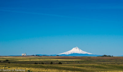 _DSC7334.jpg