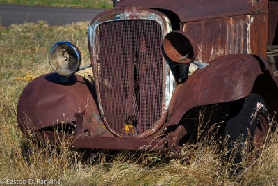 _DSC7344.jpg