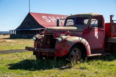 _DSC7364.jpg