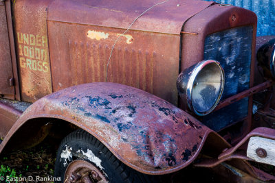 _DSC7382.jpg