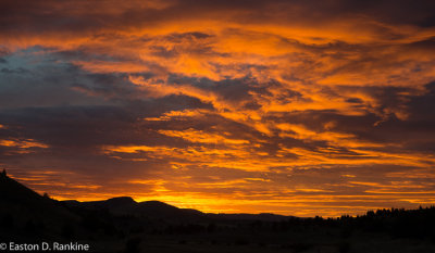 _DSC2669.jpg