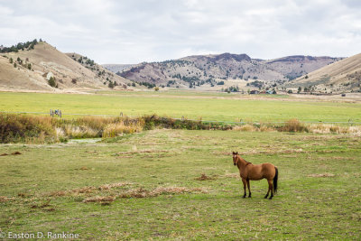 _DSC7456.jpg
