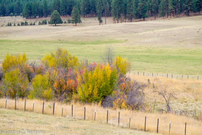_DSC7477.jpg