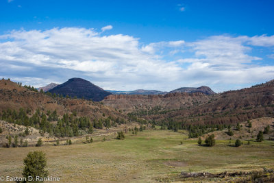 _DSC7487.jpg