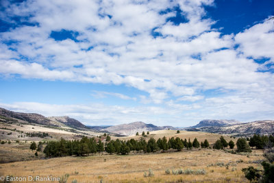 _DSC7498.jpg