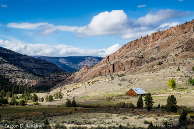 _DSC7563.jpg