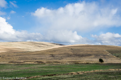 _DSC7566.jpg