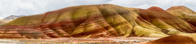 _DSC2704.jpg