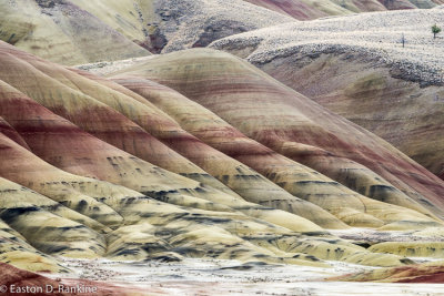 _DSC2707.jpg
