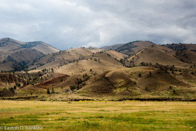 _DSC7504.jpg