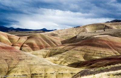 _DSC7552.jpg