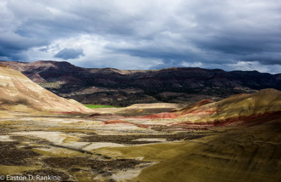 _DSC7554.jpg