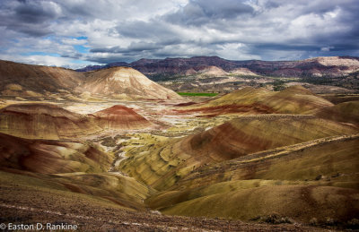 _DSC7558.jpg