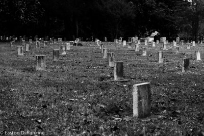 Confederate Dead II