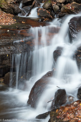 Amicalola Falls State Park I