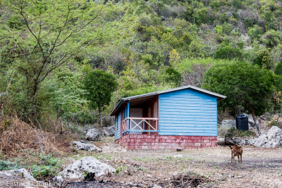Blue House and Goat