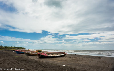 Milk River Bay I