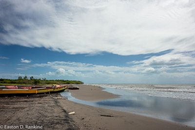 Milk River Bay V