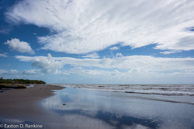 Milk River Bay VII