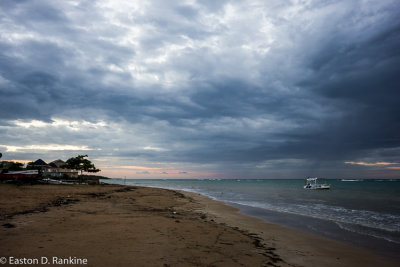 Evening at Sharkie's With Rain Clouds III