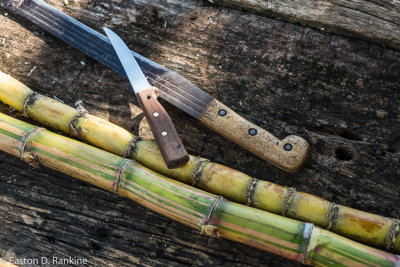 Sharp Tools and Sugar Cane