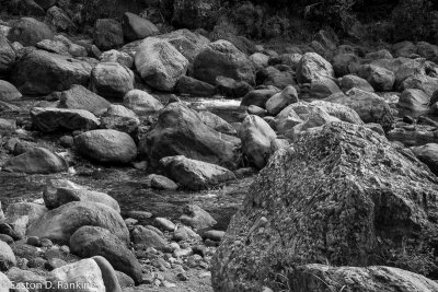 Tom's River Rocks!
