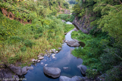 Tom's River - From the Bridge at Grandy Hole, St Mary